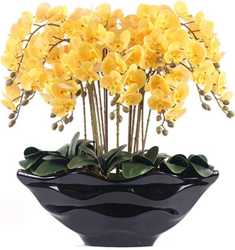 Everlasting Orchid Floral Arrangement