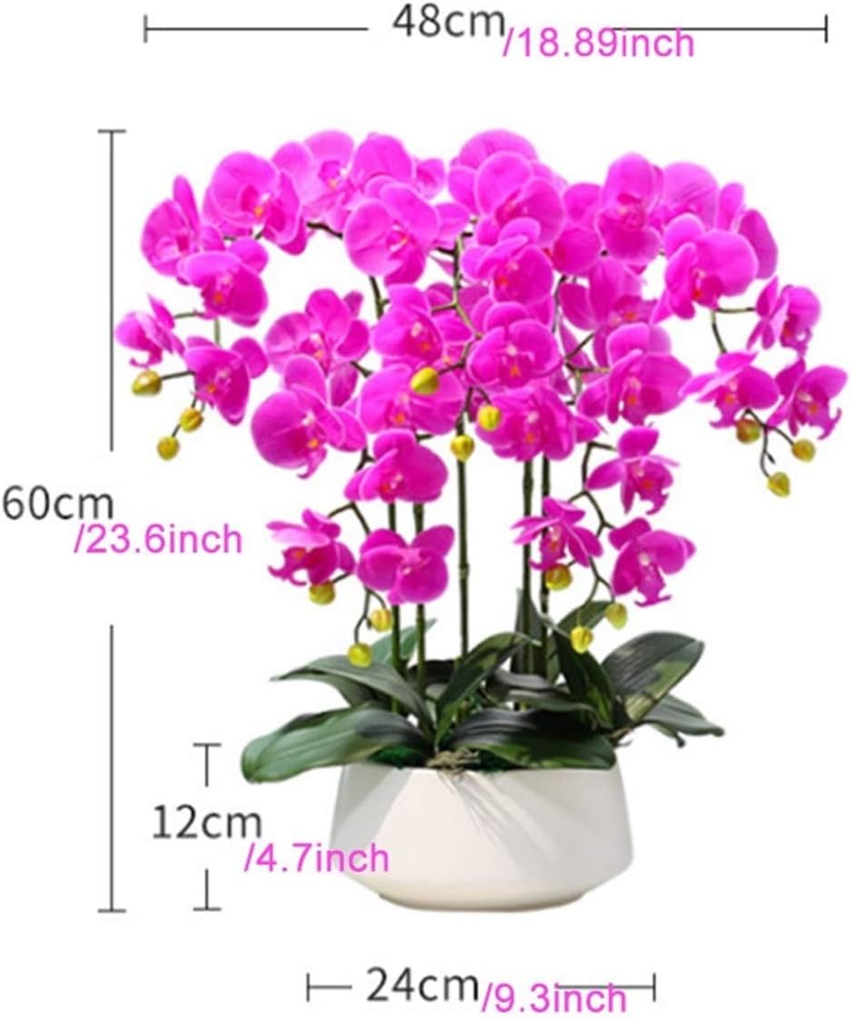 Everlasting Elegance Artificial Orchid Bonsai