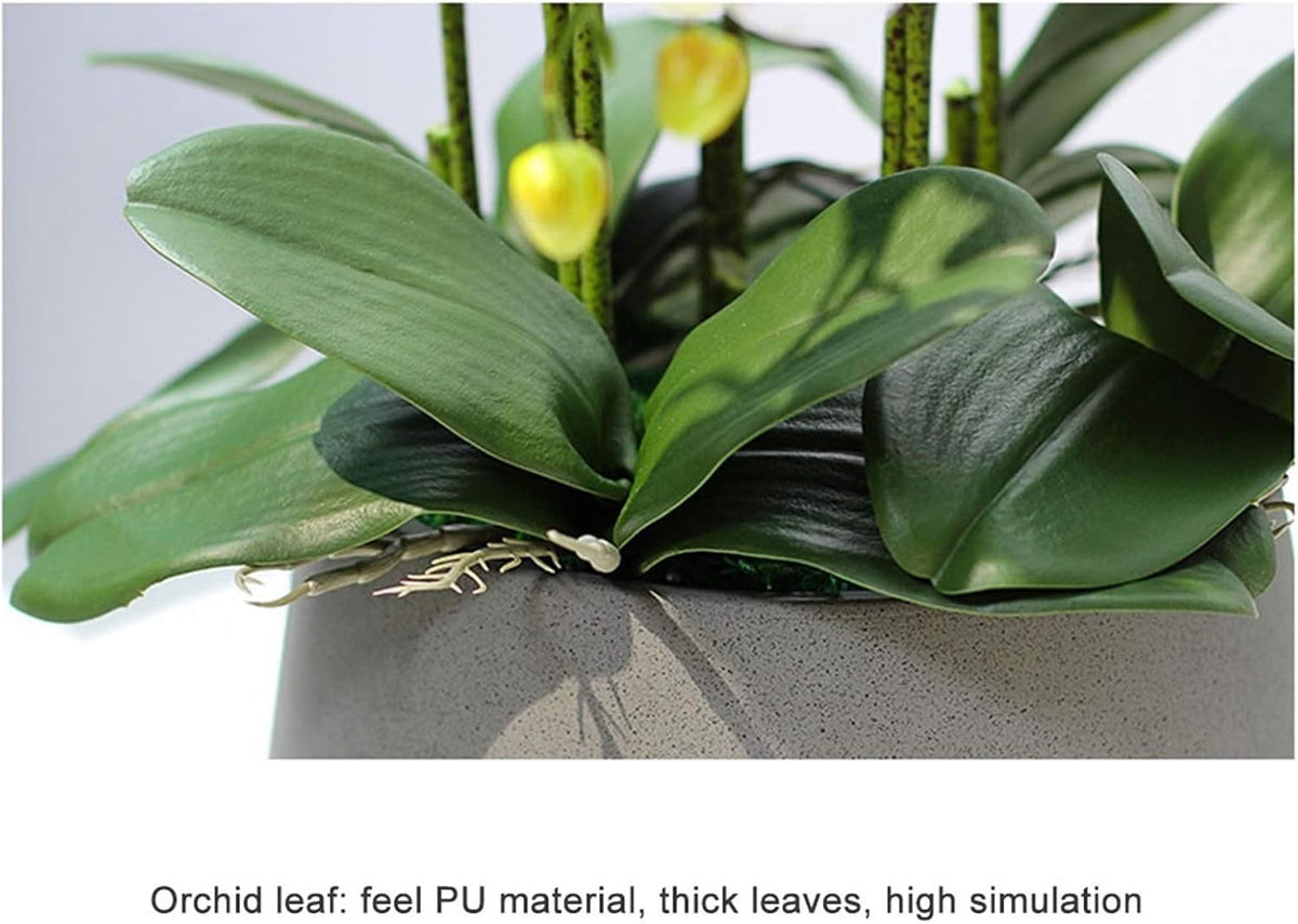Everlasting Elegance Artificial Orchid Bonsai