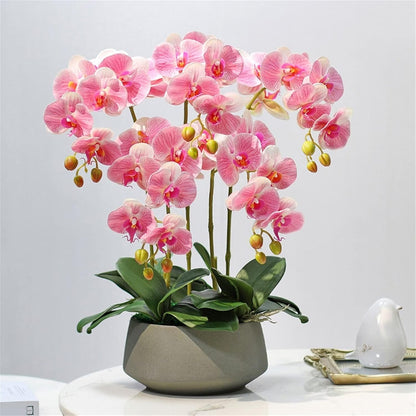 Everlasting Elegance Artificial Orchid Bonsai