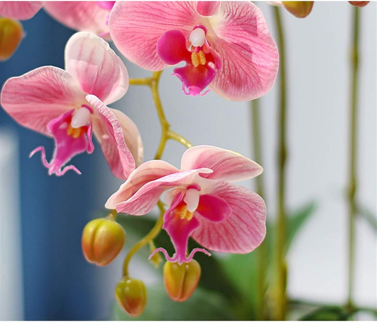 Everlasting Elegance Artificial Orchid Bonsai